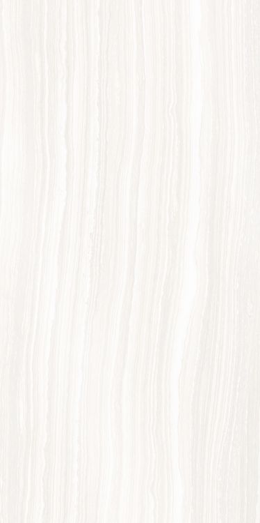 Albani White Lapado 24 x 48